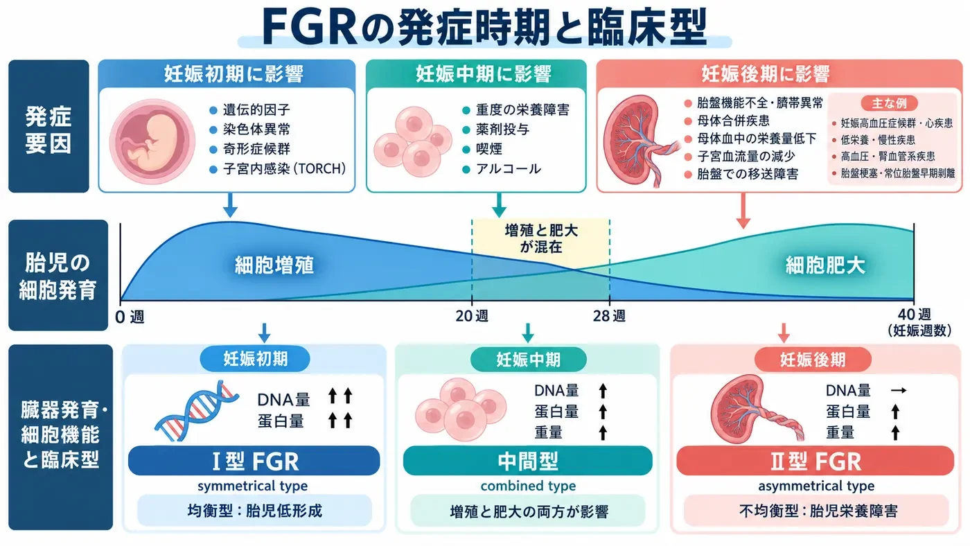 FGRの発症時期と臨床型